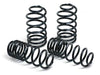 H&R 2018-2022 Model 3 Long Range (AWD) Performance Sport Spring